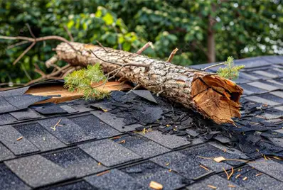Close up of a broken limb atop of a roof.